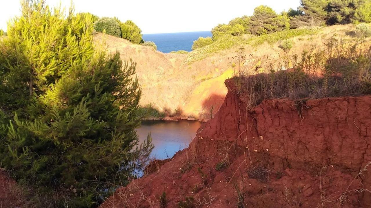 PalmariggiLa Terrazza Sul Castelloアパートメント エクステリア 写真