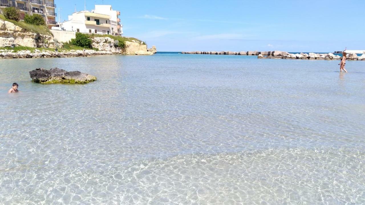 PalmariggiLa Terrazza Sul Castelloアパートメント エクステリア 写真