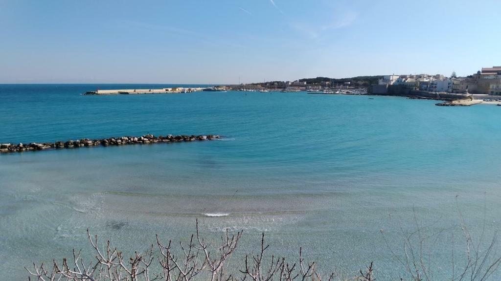 PalmariggiLa Terrazza Sul Castelloアパートメント エクステリア 写真