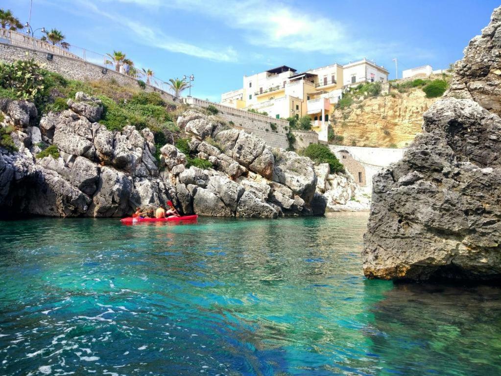 PalmariggiLa Terrazza Sul Castelloアパートメント エクステリア 写真