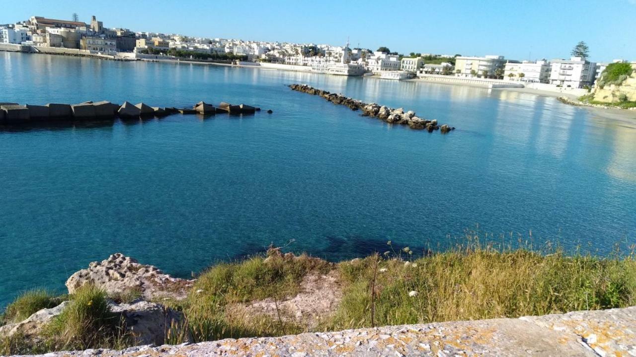 PalmariggiLa Terrazza Sul Castelloアパートメント エクステリア 写真